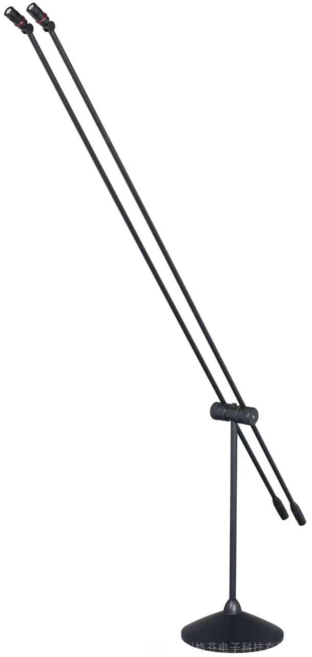 双杆立杆式专业演讲麦克风